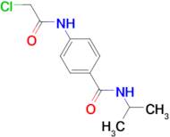 4-[(chloroacetyl)amino]-N-isopropylbenzamide