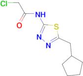2-chloro-N-[5-(cyclopentylmethyl)-1,3,4-thiadiazol-2-yl]acetamide