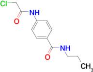 4-[(chloroacetyl)amino]-N-propylbenzamide