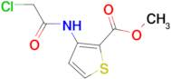 methyl 3-[(chloroacetyl)amino]thiophene-2-carboxylate