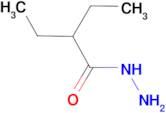 2-ethylbutanohydrazide