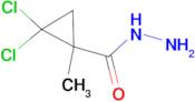 2,2-dichloro-1-methylcyclopropanecarbohydrazide