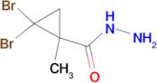 2,2-dibromo-1-methylcyclopropanecarbohydrazide