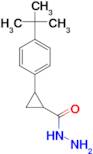 2-(4-tert-butylphenyl)cyclopropanecarbohydrazide