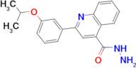 2-(3-isopropoxyphenyl)quinoline-4-carbohydrazide