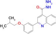 2-(3-isobutoxyphenyl)quinoline-4-carbohydrazide