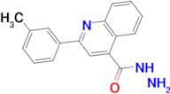 2-(3-methylphenyl)quinoline-4-carbohydrazide