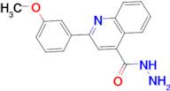 2-(3-methoxyphenyl)quinoline-4-carbohydrazide