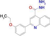 2-(3-ethoxyphenyl)quinoline-4-carbohydrazide