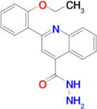 2-(2-ethoxyphenyl)quinoline-4-carbohydrazide