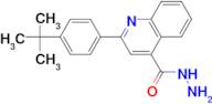 2-(4-tert-butylphenyl)quinoline-4-carbohydrazide