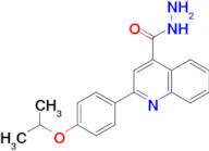 2-(4-isopropoxyphenyl)quinoline-4-carbohydrazide