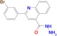 2-(3-bromophenyl)quinoline-4-carbohydrazide