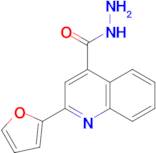 2-(2-furyl)quinoline-4-carbohydrazide