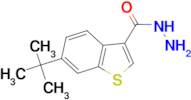 6-tert-butyl-1-benzothiophene-3-carbohydrazide