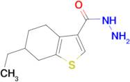 6-ethyl-4,5,6,7-tetrahydro-1-benzothiophene-3-carbohydrazide