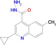 2-cyclopropyl-6-methylquinoline-4-carbohydrazide