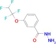3-(1,1,2,2-tetrafluoroethoxy)benzohydrazide
