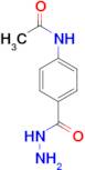 N-[4-(hydrazinocarbonyl)phenyl]acetamide