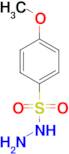 4-methoxybenzenesulfonohydrazide