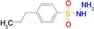 4-propylbenzenesulfonohydrazide