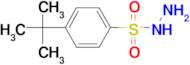 4-tert-butylbenzenesulfonohydrazide