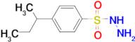 4-sec-butylbenzenesulfonohydrazide