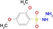 2,4-dimethoxybenzenesulfonohydrazide