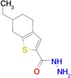 6-ethyl-4,5,6,7-tetrahydro-1-benzothiophene-2-carbohydrazide