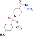 1-[(2,4-dimethylphenyl)sulfonyl]piperidine-4-carbohydrazide