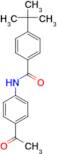 N-(4-acetylphenyl)-4-tert-butylbenzamide