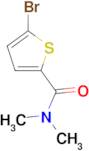 5-bromo-N,N-dimethylthiophene-2-carboxamide