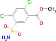 methyl 5-(aminosulfonyl)-2,4-dichlorobenzoate