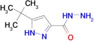 3-tert-butyl-1H-pyrazole-5-carbohydrazide