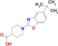 1-(5-tert-butyl-1,3-benzoxazol-2-yl)piperidine-4-carboxylic acid