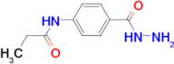 N-[4-(hydrazinocarbonyl)phenyl]propanamide