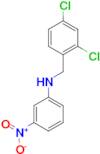 N-(2,4-dichlorobenzyl)-N-(3-nitrophenyl)amine