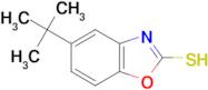 5-tert-butyl-1,3-benzoxazole-2-thiol