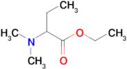 ethyl 2-(dimethylamino)butanoate