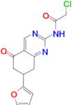 2-chloro-N-[7-(2-furyl)-5-oxo-5,6,7,8-tetrahydroquinazolin-2-yl]acetamide