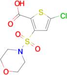 5-chloro-3-(morpholin-4-ylsulfonyl)thiophene-2-carboxylic acid