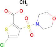 methyl 5-chloro-3-(morpholin-4-ylsulfonyl)thiophene-2-carboxylate