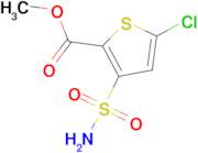 methyl 3-(aminosulfonyl)-5-chlorothiophene-2-carboxylate