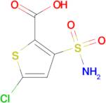 3-(aminosulfonyl)-5-chlorothiophene-2-carboxylic acid