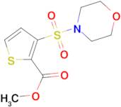 methyl 3-(morpholin-4-ylsulfonyl)thiophene-2-carboxylate