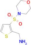 [3-(morpholin-4-ylsulfonyl)thien-2-yl]methylamine
