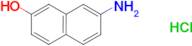 7-Amino-2-naphthol hydrochloride