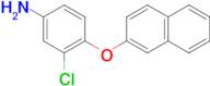 3-chloro-4-(2-naphthyloxy)aniline