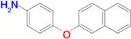 4-(2-naphthyloxy)aniline