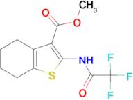 methyl 2-[(trifluoroacetyl)amino]-4,5,6,7-tetrahydro-1-benzothiophene-3-carboxylate